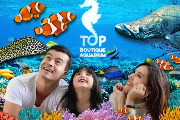 Penang Boutique Aquarium